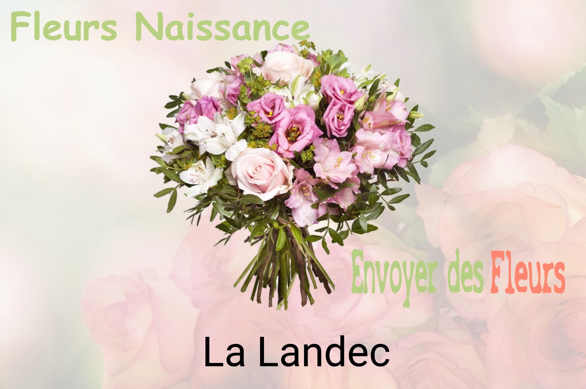 Bouquet de fleurs de naissance livré à La Landec